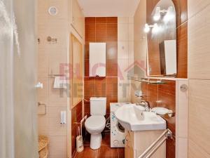 Prodej bytu 1+1, České Budějovice, J. Opletala, 38 m2