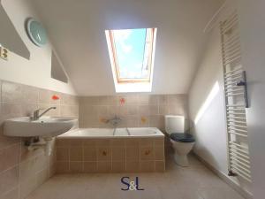 Pronájem bytu 1+kk, Liberec, Klostermannova, 75 m2