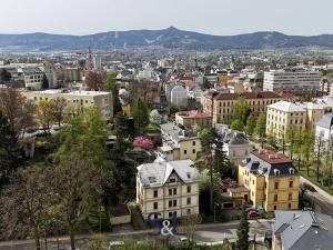 Pronájem bytu 1+kk, Liberec, Klostermannova, 75 m2
