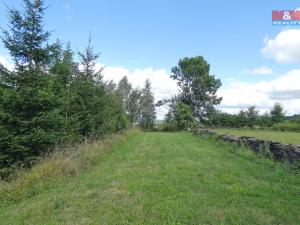 Prodej pozemku pro bydlení, Podhořany u Ronova, 3955 m2