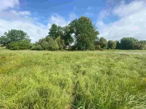 Dražba louky, Jankov, 1800 m2