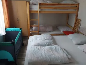Prodej chaty, Brno, 390 m2