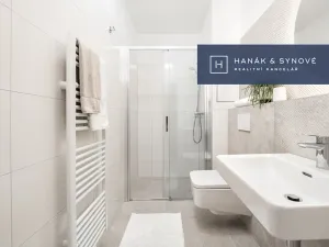 Pronájem bytu 1+kk, Brno, Francouzská, 29 m2