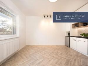 Pronájem bytu 1+kk, Brno, Cejl, 29 m2