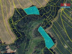 Prodej lesa, Nýrov, 11459 m2