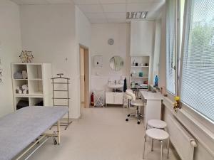 Pronájem kanceláře, Brno, Jana Babáka, 31 m2