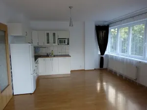 Pronájem bytu 2+kk, Praha - Košíře, Černochova, 65 m2