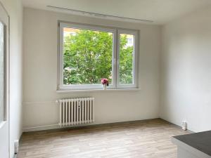 Pronájem bytu 1+1, Litvínov, Čapkova, 38 m2