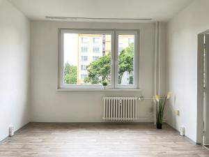 Pronájem bytu 1+1, Litvínov, Čapkova, 38 m2
