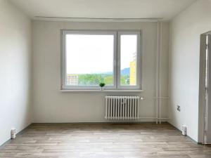 Pronájem bytu 1+1, Litvínov, Čapkova, 38 m2
