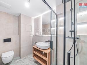 Pronájem bytu 2+kk, Plzeň - Litice, 42 m2