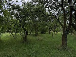Prodej pozemku pro bydlení, Brno, Moravanské lány, 1096 m2