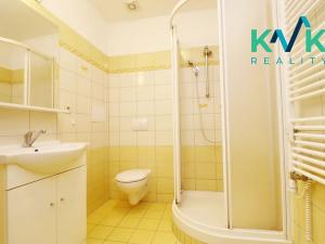 Pronájem bytu 1+1, Ostrov, Hroznětínská, 38 m2