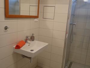 Pronájem bytu 1+kk, Liberec - Liberec III-Jeřáb, U Nisy, 30 m2