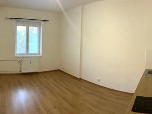 Pronájem bytu 1+1, Plzeň, Tělocvičná, 51 m2