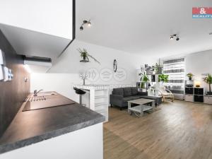 Prodej bytu 1+kk, Plzeň - Severní Předměstí, alej Svobody, 45 m2