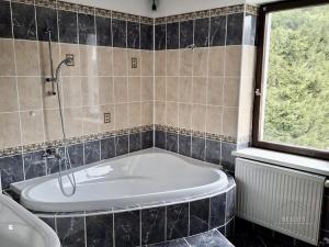Pronájem bytu 3+1, Aš - Kopaniny, 120 m2