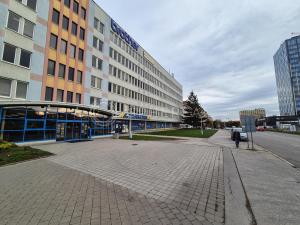 Pronájem obchodního prostoru, Brno - Žabovřesky, Veveří, 501 m2