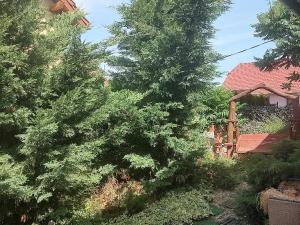 Prodej rodinného domu, Božice, 233 m2