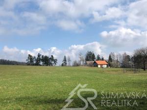Prodej chaty, Štěchovice, 120 m2