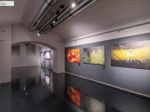Pronájem obchodního prostoru, Praha - Staré Město, Na příkopě, 457 m2