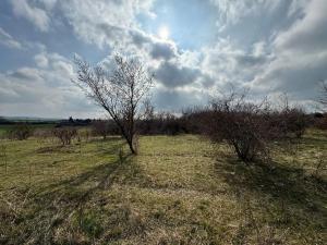 Prodej pozemku pro bydlení, Řitka, K Potokům, 861 m2