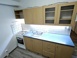 Prodej bytu 1+1, Duchcov, Bydžovského, 36 m2