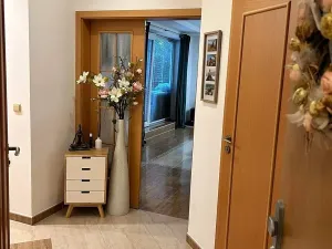 Pronájem bytu 2+kk, Olomouc, Bacherova, 84 m2
