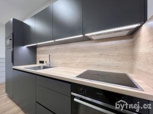 Pronájem bytu 1+kk, Brno - Staré Brno, Hybešova, 38 m2