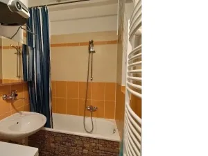 Prodej bytu 2+kk, Praha - Žižkov, Rečkova, 41 m2