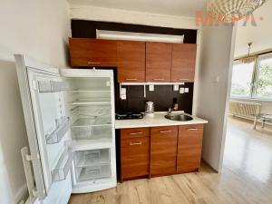 Pronájem bytu 1+kk, Most, Česká, 33 m2
