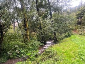 Prodej chaty, Klášterec nad Orlicí - Lhotka, 82 m2