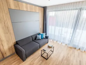 Pronájem bytu 1+kk, Praha - Žižkov, Seifertova, 32 m2