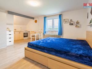Prodej bytu 1+kk, Trhové Sviny, Branka, 33 m2