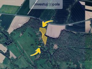 Prodej lesa, Kravaře - Kouty, 7026 m2