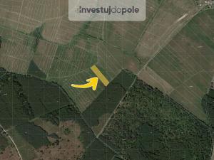 Prodej louky, Kladruby nad Labem - Kolesa, 3413 m2
