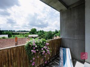 Prodej bytu 4+kk, Bohdalice-Pavlovice, 114 m2