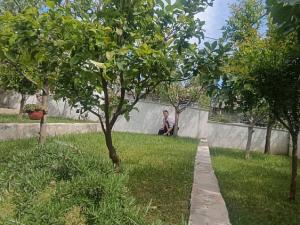 Prodej ubytování, Utjeha, Bar, Černá Hora, 176 m2