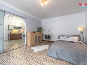 Pronájem bytu 1+1, Ústí nad Labem - Klíše, Na Popluží, 44 m2