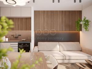 Prodej bytu 2+kk, Nový Jičín, Palackého, 61 m2