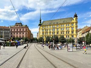Pronájem pokoje, Brno, Starobrněnská, 22 m2
