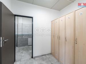 Pronájem výrobních prostor, Velké Meziříčí, Karlov, 532 m2