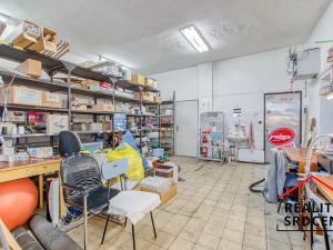 Prodej rodinného domu, Dětmarovice, 600 m2