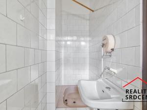 Prodej rodinného domu, Dětmarovice, 600 m2