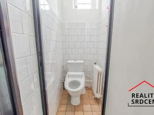 Prodej rodinného domu, Dětmarovice, 600 m2