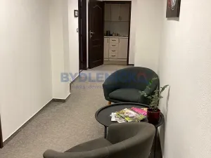Pronájem kanceláře, České Budějovice, nám. Přemysla Otakara II., 30 m2