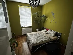 Pronájem bytu 2+1, Praha, 90 m2