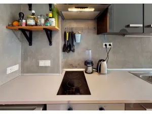 Pronájem bytu 1+kk, Praha - Žižkov, Jeronýmova, 36 m2