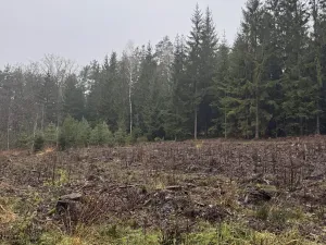 Prodej podílu pozemku, Veliny, 16991 m2