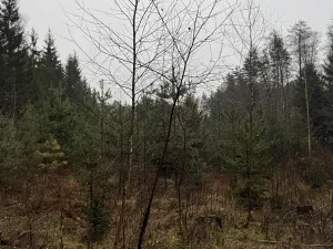 Prodej podílu pozemku, Veliny, 16991 m2